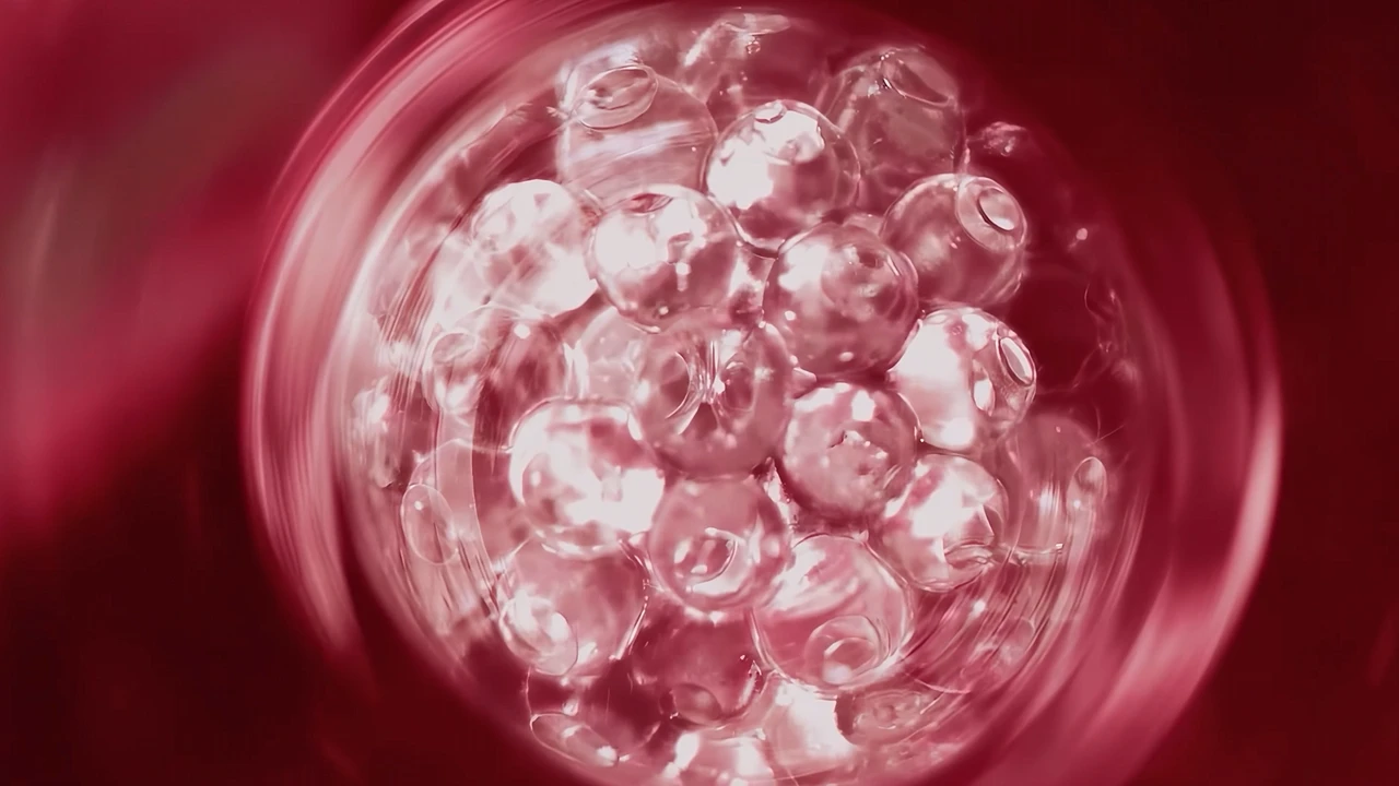 Showreel 2024 (3)